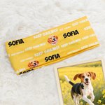 Fascia sportiva personalizzata con slogan foto dell'animale e nome elastica e multicolore antisudore accessorio sportivo regalo per amanti dello sport