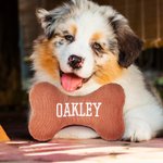 Giocattolo per cani personalizzato a forma di osso morbido in velluto a coste con nome ricamato Regalo di compleanno per addestramento del cane per il proprietario dell'animale.