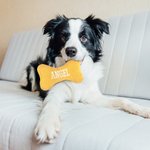 Giocattolo per cani personalizzato a forma di osso morbido in velluto a coste con nome ricamato Regalo di compleanno per addestramento del cane per il proprietario dell'animale.