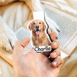 Personalisiertes magnetisches Lesezeichen mit Foto Portrait Namen Lesezubehör Schulanfang Geburtstag Geschenk für Leser Bücherwürmer