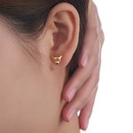 Pendientes personalizados con piedra de nacimiento Vaca de las Tierras Altas Joyería delicada Cumpleaños Aniversario Regalo para Mujeres Amantes de las Vacas de las Tierras Altas