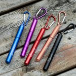 Personalized Reusable Drinking Straw Collapsible Telescopic Stainless Steel Straw with Brush Portable Keychain Birthday Gift for Environmentalist