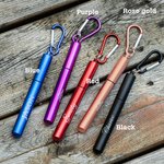 Personalized Reusable Drinking Straw Collapsible Telescopic Stainless Steel Straw with Brush Portable Keychain Birthday Gift for Environmentalist