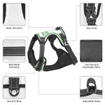 Personalized Sporty Number Adjustable Dog Chest Harness with Name Birthday Outdoor Activities Gift for Pet Lovers Owners