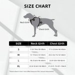 Personalized Sporty Number Adjustable Dog Chest Harness with Name Birthday Outdoor Activities Gift for Pet Lovers Owners