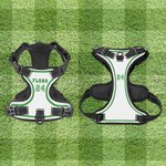 Personalized Sporty Number Adjustable Dog Chest Harness with Name Birthday Outdoor Activities Gift for Pet Lovers Owners