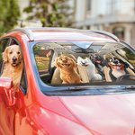 Personalized 1-4 3D Style Dog Cartoon Character Funny Car Windshield Sun Shade with Name Holiday New Car Birthday Gift for Dog Lovers Car Owner
