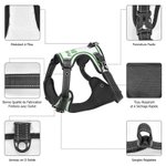 Harnais Réglable pour Animal de Compagnie Personnalisé avec Nom Numéro Cadeau Anniversaire pour Ppropriétaires Animaux de Compagnie