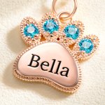 Henkilökohtainen Birthstone Paw Print riipus kaulakoru Dainty korut syntymäpäivä vuosipäivä lahja naisille Pet Lover