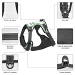 Arnés ajustable personalizado para perros con número deportivo y nombre regalo de cumpleaños para amantes y dueños de perros