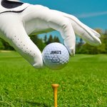 Personalized Funny Furry Body Part Golf Ball with Name Bachelor Party Joke Theme Club Birthday Gift for Men Golf Lovers