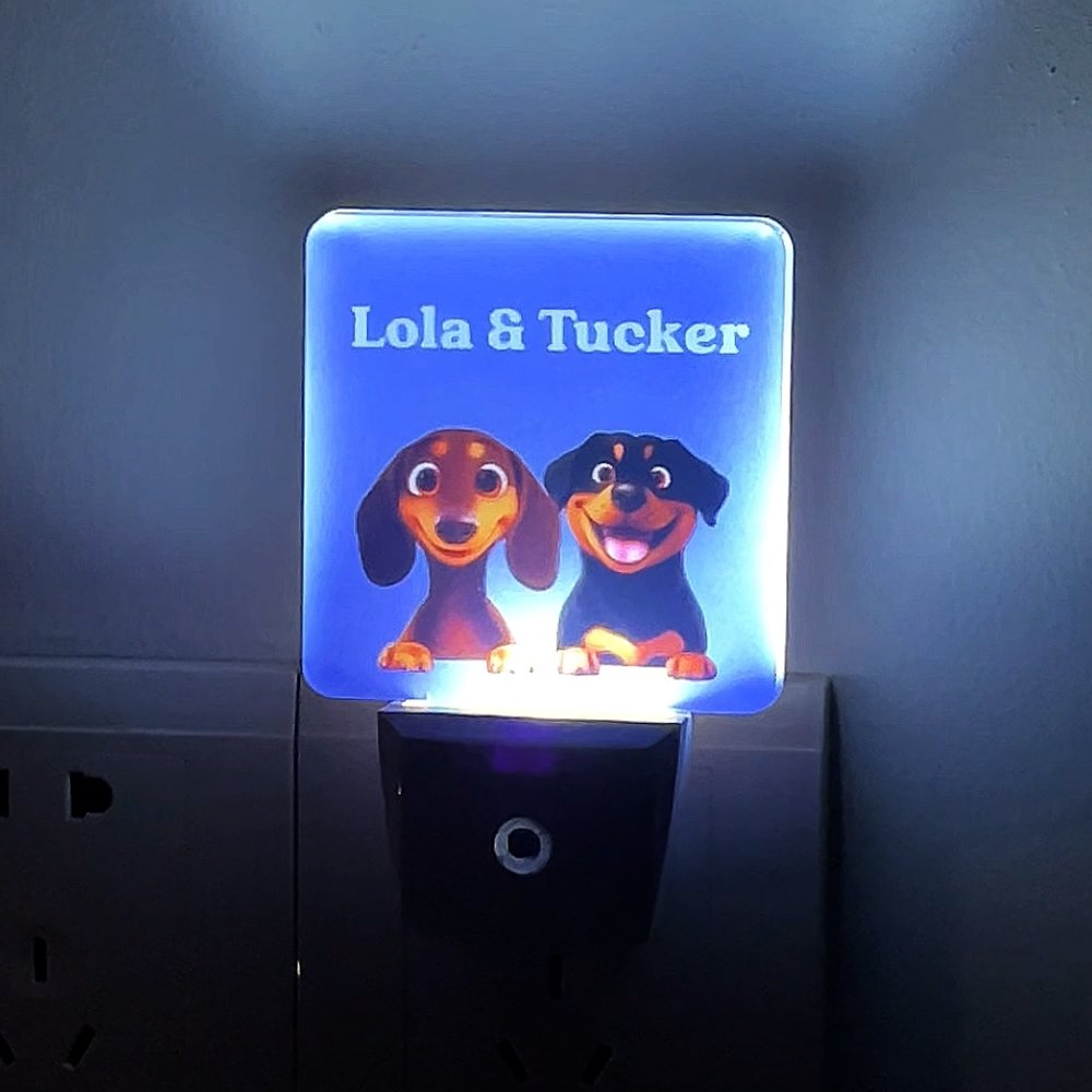 Personalized Cute Paw 1-3 3D Cartoon Dogs Name LED Plug in Night Light with Light Sensor Room Decor Birthday Gift for Dog Dad Dog Mom Pet Lovers 4