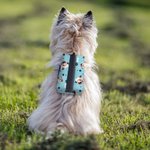 Personalized Multicolour Dog Paw Prints Bone Poop Bag Holder with 1-3 Pet Portrait Outdoor Activities Birthday Gift for Pet Owner