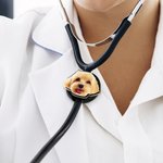 Personalised Pet Character Photo Stethoscope ID Tag Nurses Week Graduation Thanks Gift for Doctor Nurse Medical Students