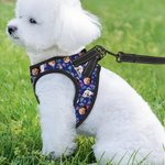 Personalizada Flamingo Delfín Palmera Multicolor Correa para Mascota Arnés Chaleco con 1-3 Fotos Regalo de Cumpleaños para los Amantes de las Mascotas Propietario