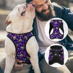 Personalizada Flamingo Delfín Palmera Multicolor Correa para Mascota Arnés Chaleco con 1-3 Fotos Regalo de Cumpleaños para los Amantes de las Mascotas Propietario