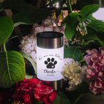 Personalisiertes Hund Katze Pfotenabdruck Solar Gartenlicht Grablicht mit Namen Text Jahr Garten Deko Andenken Geschenk für Haustiertrauernde