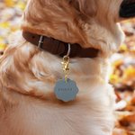 Personalised Bone Heart Flower Shape Multicolour PU Leather Pet ID Card Name Tag Birthday Welcome Gift for Dog Cat Owners