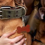 Personalised Bone Heart Flower Shape Multicolour PU Leather Pet ID Card Name Tag Birthday Welcome Gift for Dog Cat Owners