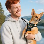 Personalizada Flamingo Delfín Palmera Multicolor Correa para Mascota Arnés Chaleco con 1-3 Fotos Regalo de Cumpleaños para los Amantes de las Mascotas Propietario