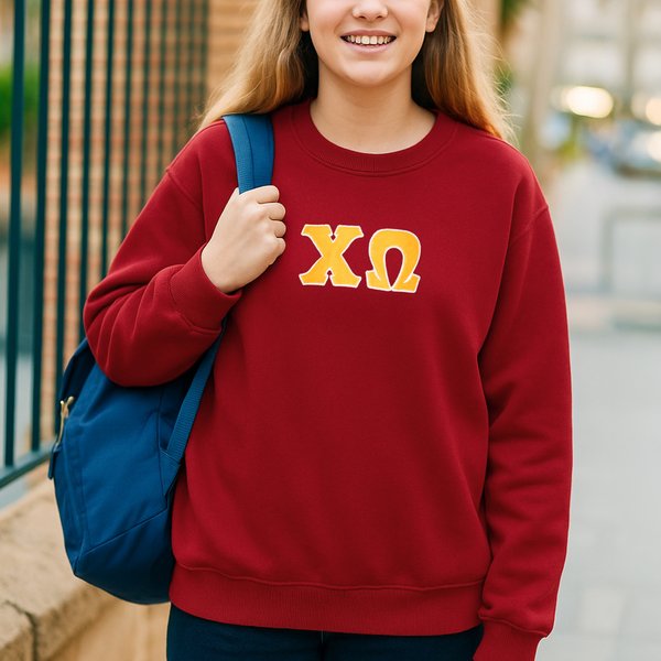 Personalized Embroidery Greek Letters T-shirt Sweatshirt Hoodie Sorority Bid Day Gift for New Sorority Members丨Callie × Affinity Licensing