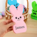 Personalisierter mehrfarbiger Osterhase Deko mit LED-Licht und Namen Haus Korb Deko Ostern Party Geschenk für Familie Jungen Mädchen