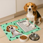 Alfombrilla absorbente personalizada en 3D con dibujo de gato, perro, pata, mensaje con su nombre y reverso de goma impermeable Regalo de cumpleaños para los amantes de las mascotas