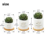 Personalized Love Grows Name Ceramic Succulent Planter Pot with Drainage Hole and Bamboo Base Home Decor Wedding Gift for Lover