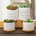 Personalized Love Grows Name Ceramic Succulent Planter Pot with Drainage Hole and Bamboo Base Home Decor Wedding Gift for Lover