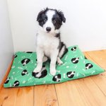 Personalizzato pesce osso zampa stampa viso foto animale domestico copertura tappetini di raffreddamento con nome Pet Supplies Estate nuovo animale domestico regalo per i proprietari di animali domest