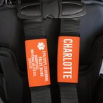Gepersonaliseerde Multicolor Emergency Alert Carseat Riemen met Naam en Tekst Set van 2 Verjaardag Caring Gift voor Allergie Autisme Kinderen Familie