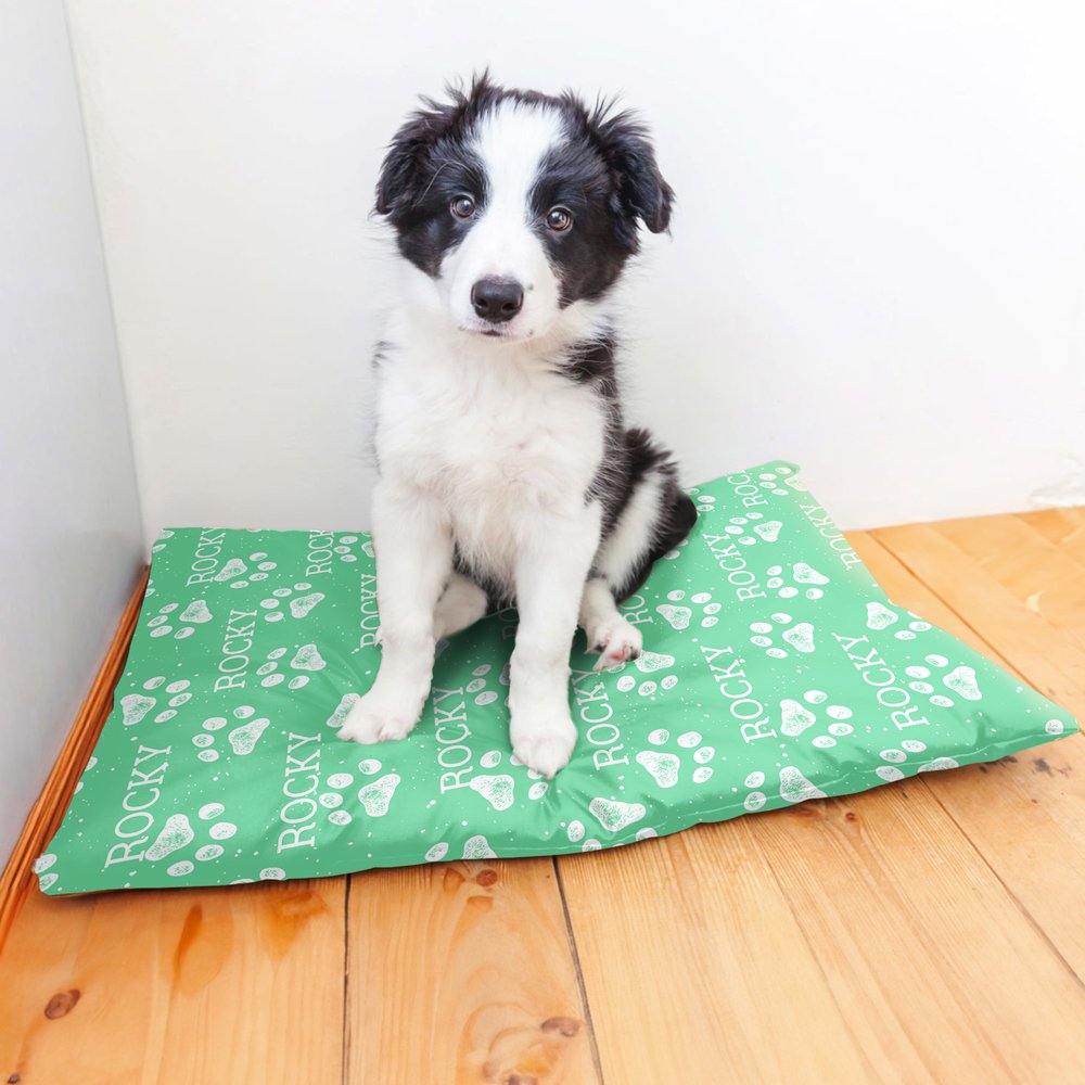 Tapis rafraîchissant personnalisé pour chien