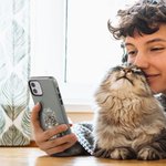 Personlig akvarell 1-3 kjæledyrfoto TPU-telefonveske for iPhone Samsung med navn flerfarget tilgjengelig bursdagsgave til hunde- og katteelskere