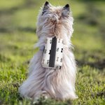 Personalised Dog Paw Prints Bone Heart Multicolour Poop Bag Holder with Pet Name Outdoor Activities Birthday Gift for Pet Owner