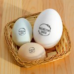Personalized Multiple Sizes Chicken Silhouette Egg Stamp Farm Egg Safe Label with Text and Box Food-Grade Ink Birthday Gift for Family Farmer Breeder