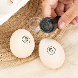 Personlig Eggstempel i flere størrelser med silhuett av kylling på gården Eggsikker etikett med tekst og eske med blekk i matvarekvalitet Bursdagsgave til familiebonden Oppdretter