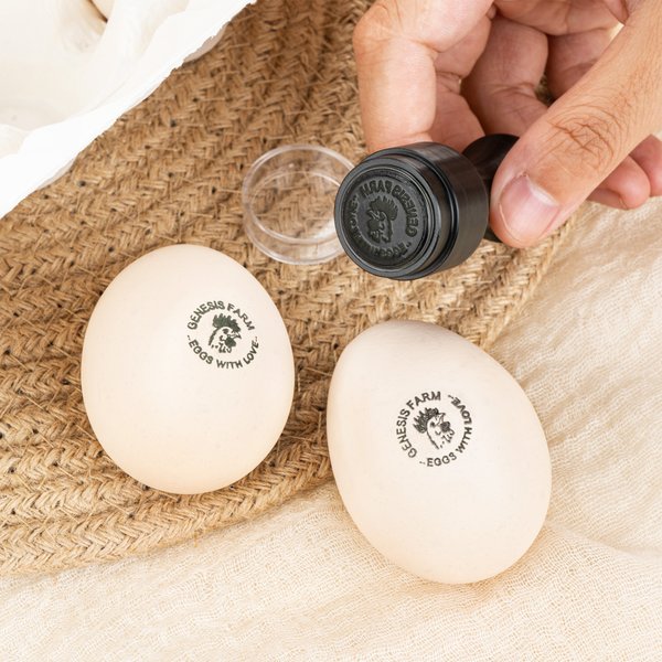 Sello personalizado para huevos con nombre texto varios tamaños y modelos certificación de la FDA tinta comestible regalo para familias y agricultores