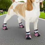 Personalizado Multicolor Camuflaje Diseño Antideslizante Zapatos de perro para pavimento caliente con nombre Accesorios al aire libre Regalo de cumpleaños para los dueños de perros