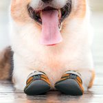 Personalizado Multicolor Camuflaje Diseño Antideslizante Zapatos de perro para pavimento caliente con nombre Accesorios al aire libre Regalo de cumpleaños para los dueños de perros