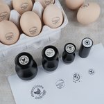 Personalized Multiple Sizes Chicken Silhouette Egg Stamp Farm Egg Safe Label with Text and Box Food-Grade Ink Birthday Gift for Family Farmer Breeder