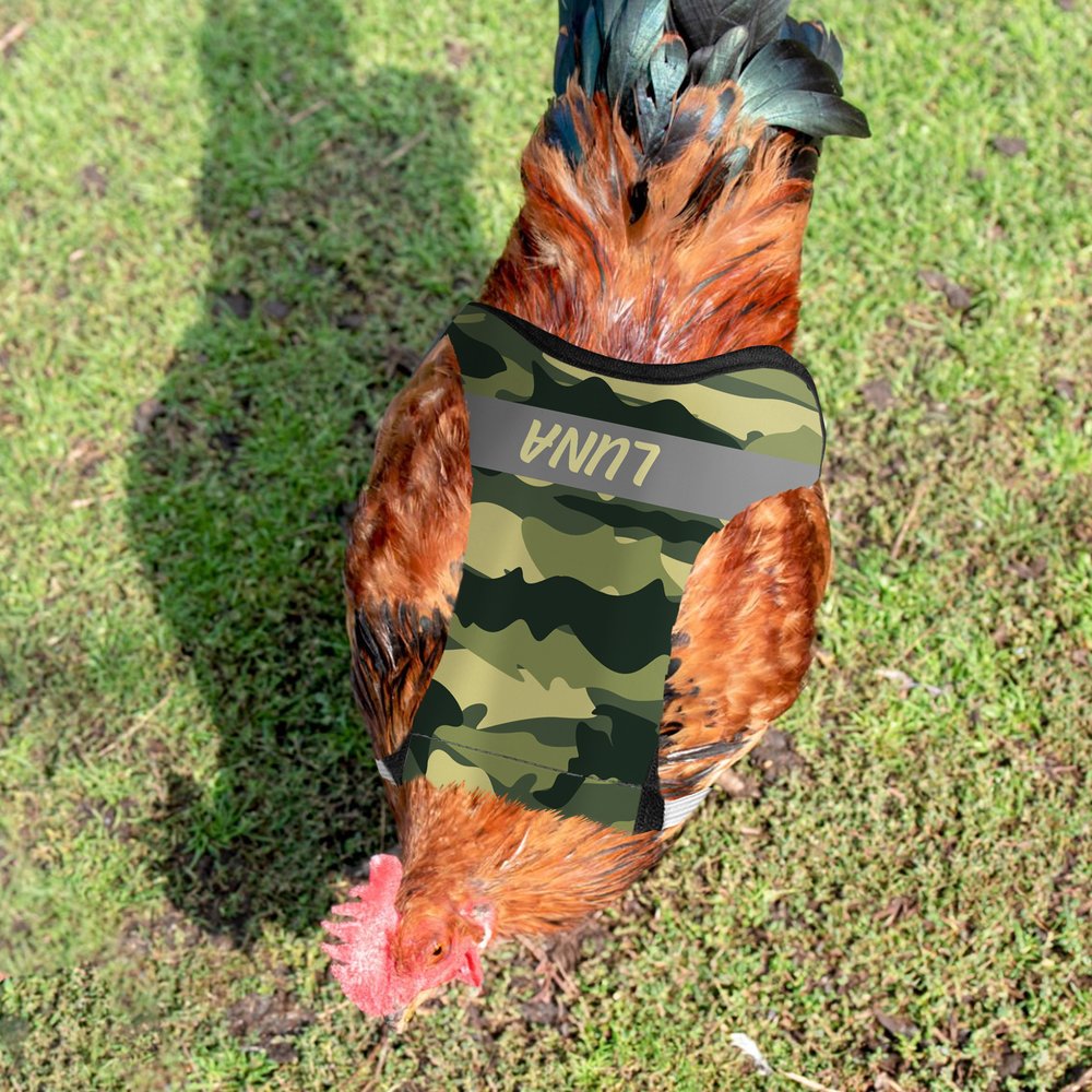 Henkilökohtainen Monivärinen Camouflage Design Hengittävä kana satula Protector nimi Pet Party lahja maanviljelijä lemmikkieläinten kana omistajille 4