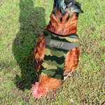 Henkilökohtainen Monivärinen Camouflage Design Hengittävä kana satula Protector nimi Pet Party lahja maanviljelijä lemmikkieläinten kana omistajille 4