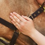 Personalised Horse Silhouette Ring with Name Dainty Jewellery Birthday Anniversary Gift for Horse Lovers Equestrians