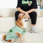 Set de bavoirs pour chien avec nom Cadeau d'anniversaire pour les amoureux des chiens.