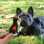 Mini cane tascabile personalizzato con placca in legno e cuore rosso con nome inciso Statua da collezione Decorazione da scrivania Regalo di compleanno per gli amanti dei cani