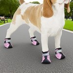 Gepersonaliseerde Multicolor Paw Print Non-Slip Hondenschoenen voor Hot Pavement met Naam Outdoor Accessoires Verjaardagscadeau voor Hondeneigenaren