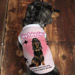 Personalized Retro Star Bow Photo Design 100% Cotton Pet Vest with Name Pet Party Birthday Gift for Dog Cat Pet Owners