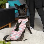 Personalized Retro Star Bow Photo Design 100% Cotton Pet Vest with Name Pet Party Birthday Gift for Dog Cat Pet Owners