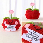Personalized Cute Apple Gratitude Word Handmade Crochet Doll with Text Desktop Decor Back to School End of Year Appreciation Gift for Teacher