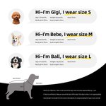 Personalized Retro Star Bow Photo Design 100% Cotton Pet Vest with Name Pet Party Birthday Gift for Dog Cat Pet Owners